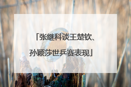 张继科谈王楚钦、孙颖莎世乒赛表现