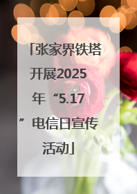 张家界铁塔开展2025年“5.17”电信日宣传活动