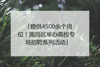 提供4500余个岗位！南岗区举办高校专场招聘系列活动