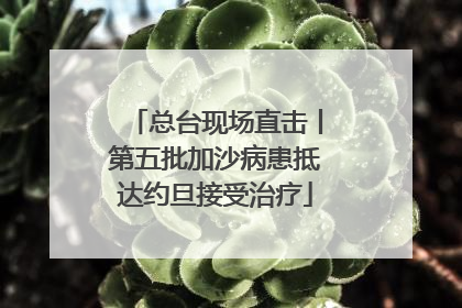总台现场直击丨第五批加沙病患抵达约旦接受治疗