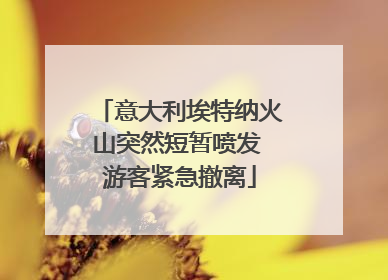 意大利埃特纳火山突然短暂喷发 游客紧急撤离