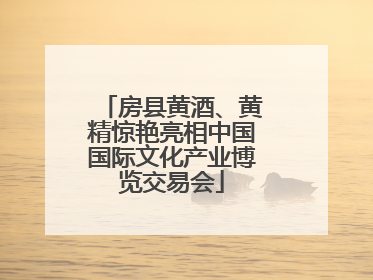 房县黄酒、黄精惊艳亮相中国国际文化产业博览交易会
