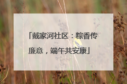 戴家河社区：粽香传廉意，端午共安康
