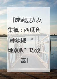 成武县九女集镇：西瓜套种辣椒 “一地双收”巧致富