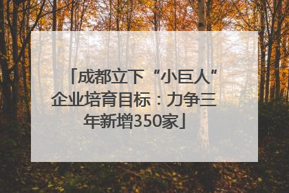 成都立下“小巨人”企业培育目标：力争三年新增350家