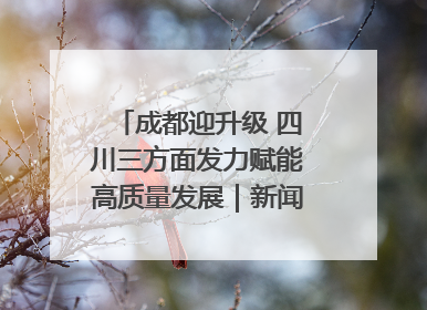 成都迎升级 四川三方面发力赋能高质量发展｜新闻发布最前线