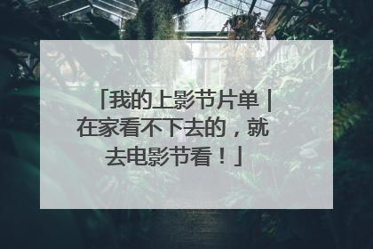 我的上影节片单｜在家看不下去的，就去电影节看！