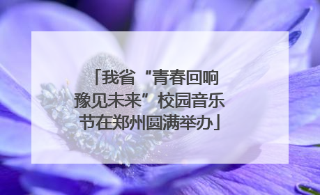 我省“青春回响 豫见未来”校园音乐节在郑州圆满举办