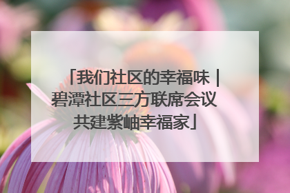 我们社区的幸福味｜碧潭社区三方联席会议共建紫岫幸福家
