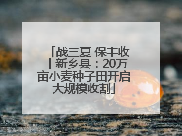 战三夏 保丰收丨新乡县：20万亩小麦种子田开启大规模收割