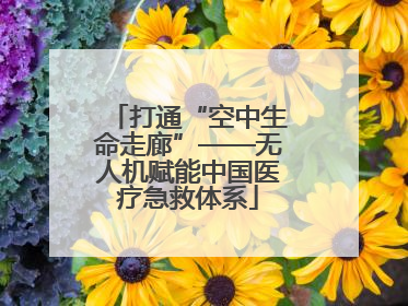 打通“空中生命走廊”——无人机赋能中国医疗急救体系