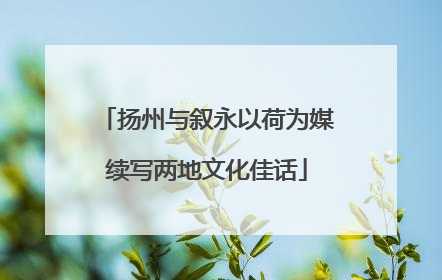 扬州与叙永以荷为媒续写两地文化佳话