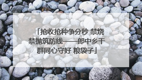 抢收抢种争分秒 禁烧禁抛筑防线——郎中乡干群同心守好 粮袋子