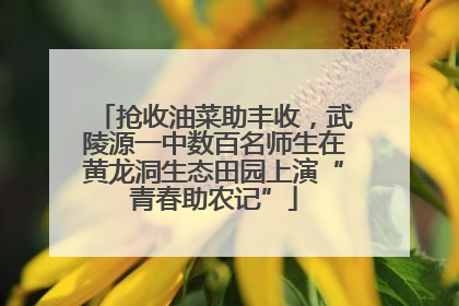 抢收油菜助丰收，武陵源一中数百名师生在黄龙洞生态田园上演“青春助农记”