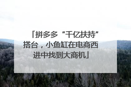 拼多多“千亿扶持”搭台，小鱼缸在电商西进中找到大商机