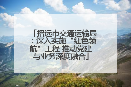 招远市交通运输局：深入实施“红色领航”工程 推动党建与业务深度融合