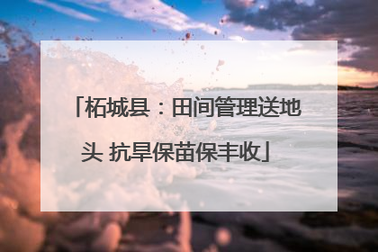 柘城县：田间管理送地头 抗旱保苗保丰收