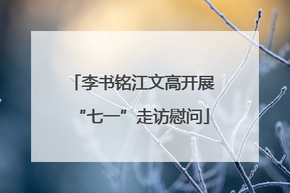 李书铭江文高开展“七一”走访慰问