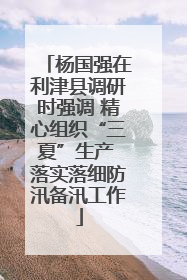 杨国强在利津县调研时强调 精心组织“三夏”生产 落实落细防汛备汛工作
