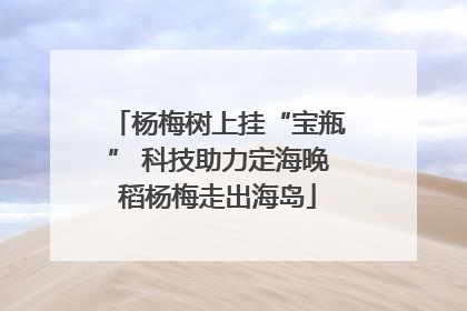杨梅树上挂“宝瓶” 科技助力定海晚稻杨梅走出海岛