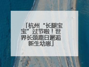 杭州“长腿宝宝”过节啦！世界长颈鹿日邂逅新生幼崽