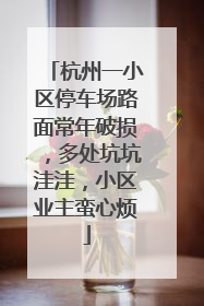 杭州一小区停车场路面常年破损，多处坑坑洼洼，小区业主蛮心烦