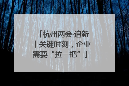 杭州两会·追新丨关键时刻，企业需要“拉一把”