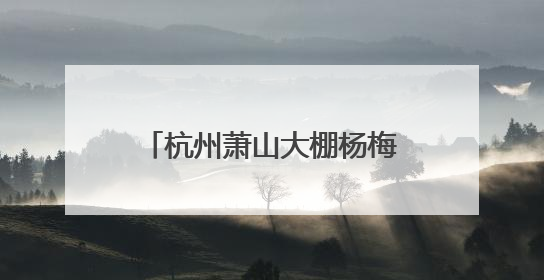 杭州萧山大棚杨梅迎丰收，96颗能卖到400元！