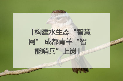 构建水生态“智慧网” 成都青羊“智能哨兵”上岗