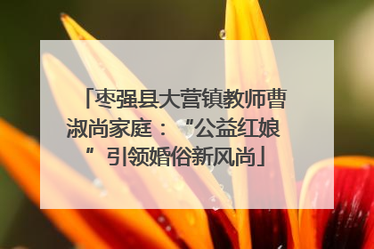 枣强县大营镇教师曹淑尚家庭：“公益红娘”引领婚俗新风尚