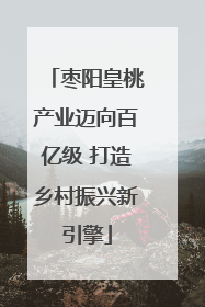枣阳皇桃产业迈向百亿级 打造乡村振兴新引擎
