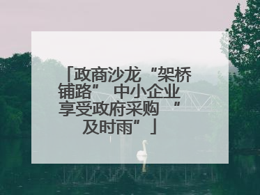 政商沙龙“架桥铺路” 中小企业享受政府采购 “及时雨”