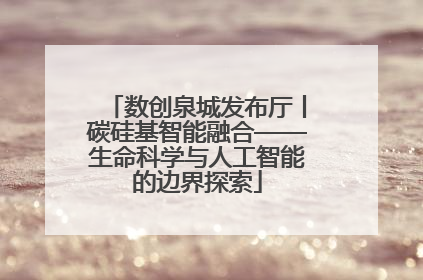 数创泉城发布厅丨碳硅基智能融合——生命科学与人工智能的边界探索