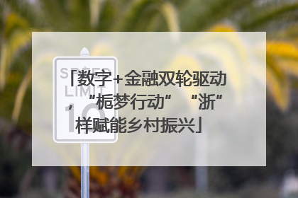 数字+金融双轮驱动，“栀梦行动”“浙”样赋能乡村振兴