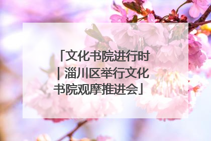 文化书院进行时｜淄川区举行文化书院观摩推进会