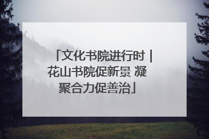 文化书院进行时｜花山书院促新景 凝聚合力促善治