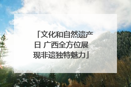 文化和自然遗产日 广西全方位展现非遗独特魅力