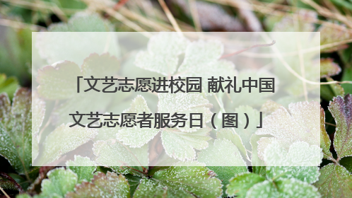 文艺志愿进校园 献礼中国文艺志愿者服务日（图）