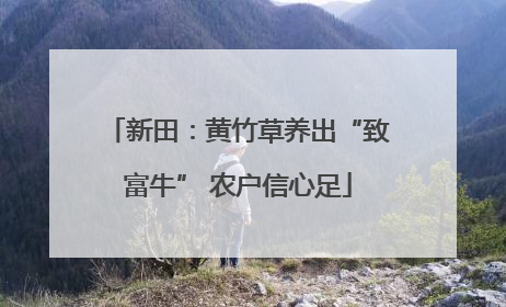 新田：黄竹草养出“致富牛” 农户信心足