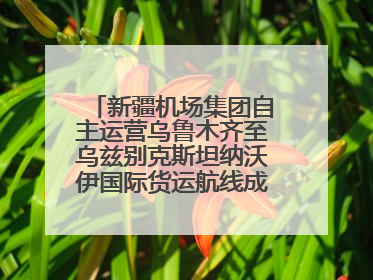 新疆机场集团自主运营乌鲁木齐至乌兹别克斯坦纳沃伊国际货运航线成功首航
