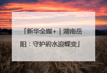 新华全媒+｜湖南岳阳：守护碧水迎蝶变