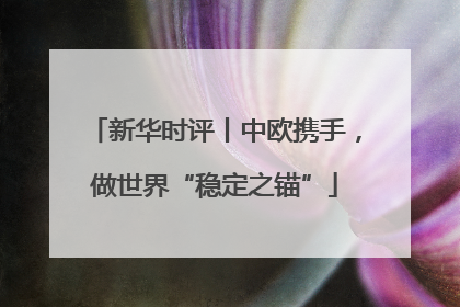 新华时评丨中欧携手，做世界“稳定之锚”