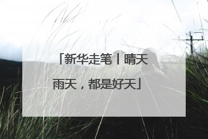 新华走笔丨晴天雨天，都是好天