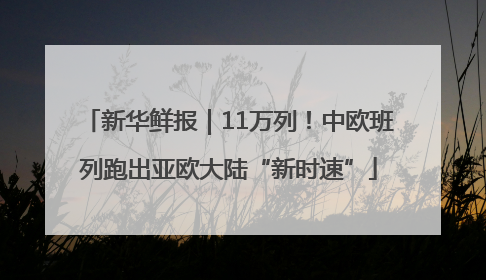 新华鲜报｜11万列！中欧班列跑出亚欧大陆“新时速”