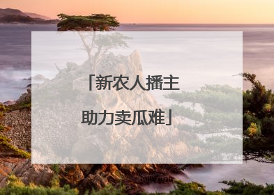 新农人播主 助力卖瓜难