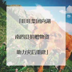 旺旺集团向湖南四县捐赠物资助力灾后重建