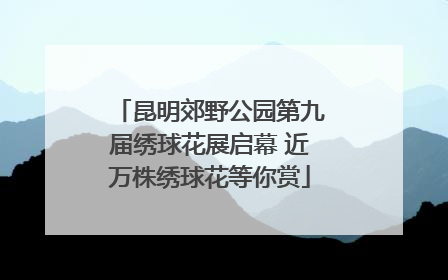 昆明郊野公园第九届绣球花展启幕 近万株绣球花等你赏