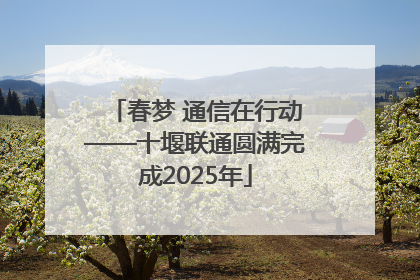 春梦 通信在行动——十堰联通圆满完成2025年