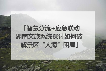 智慧分流+应急联动 湖南文旅系统探讨如何破解景区“人海”困局