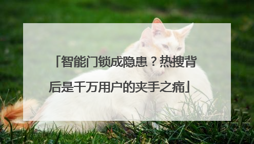 智能门锁成隐患？热搜背后是千万用户的夹手之痛